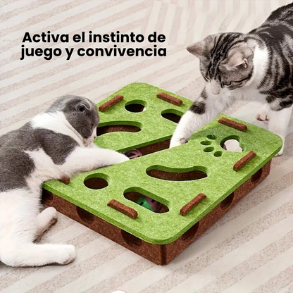 LinoPlay| Juguete Interactivo Gatos Premium