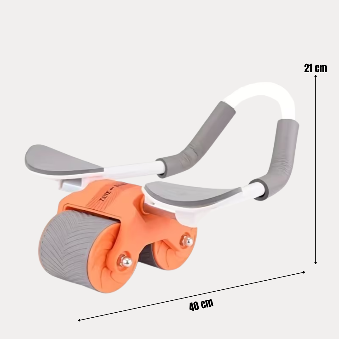 AbsCulpt: Soporte Entrenamiento