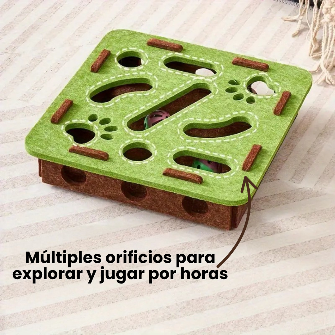 LinoPlay| Juguete Interactivo Gatos Premium