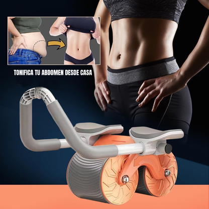 AbsCulpt: Soporte Entrenamiento